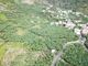 Thumbnail Land for sale in Street Name Upon Request, Ponta Do Sol, Pt