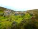 Thumbnail Land for sale in 350.000m2 Of Rustic Land With Olive Groves, Portugal