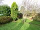 Thumbnail Detached bungalow for sale in Clinch Green Avenue, Bexhill-On-Sea