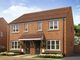 Thumbnail Semi-detached house for sale in "The Alnwick Special" at Chervil Way, Rugby