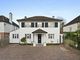 Thumbnail Detached house for sale in The Dene, Cheam