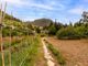 Thumbnail Detached house for sale in Selva, Selva, Mallorca