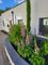 Thumbnail Detached bungalow for sale in Teignmouth Road, Maidencombe, Torquay