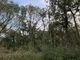 Thumbnail Land for sale in Ferndown Forest, West Moors, Ferndown
