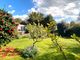 Thumbnail Bungalow for sale in Park Lane, Bexhill-On-Sea