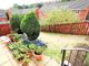 Thumbnail Property to rent in Lavender Road, Exeter