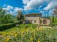 Thumbnail Farm for sale in San Gimignano, Tuscany, Italy