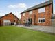 Thumbnail Detached house for sale in Buttercup Drive, Danetre Place, Daventry