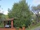 Thumbnail Country house for sale in Via Celso 29 Fosdinovo, Massa And Carrara, Tuscany, Italy