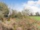 Thumbnail Property for sale in Yarmouth Road, Ellingham