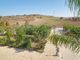 Thumbnail Bungalow for sale in Choletria, Pafos, Cyprus