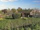 Thumbnail Bungalow for sale in Corner Close, Prickwillow, Ely