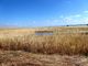 Thumbnail Land for sale in 570 000 Sq. m. Of Agricultural Land For Dry Farming, Portugal