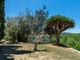 Thumbnail Country house for sale in Roca Llisa, Santa Eulalia Del Río, Ibiza, Balearic Islands, Spain