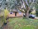 Thumbnail Semi-detached bungalow for sale in Westgate Street, Hilborough, Thetford