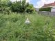 Thumbnail Property for sale in Étreux, Picardie, 02510, France