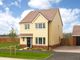 Thumbnail Detached house for sale in "The Scrivener" at Cedar Close, Bacton, Stowmarket