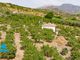 Thumbnail Country house for sale in Tolox, Malaga, Spain