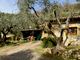 Thumbnail Country house for sale in Strada Morghe, Dolceacqua, Imperia, Liguria, Italy