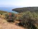 Thumbnail Land for sale in Sourpi 370 08, Greece