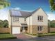 Thumbnail Detached house for sale in "The Lismore" at Newfield Gardens, Stonehouse, Larkhall