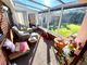 Thumbnail Detached bungalow for sale in Cranmore View, Tiverton, Devon