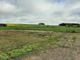 Thumbnail Land for sale in Chapelton Smiddy, Arbroath