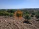 Thumbnail Land for sale in Corte Do Gago, Azinhal, Castro Marim