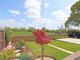 Thumbnail Detached bungalow for sale in Old Jaycroft, Willand, Cullompton