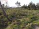 Thumbnail Land for sale in Tornada E Salir Do Porto, Caldas Da Rainha, Leiria