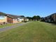 Thumbnail Semi-detached bungalow for sale in Ilex Green, Hailsham