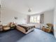 Thumbnail Detached house for sale in The Butts, Alton, Hampshire