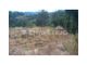 Thumbnail Land for sale in Barreiras Da Serra, Serra E Junceira, Tomar