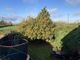 Thumbnail Link-detached house for sale in Bishops Close, Little Downham, Ely