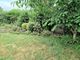 Thumbnail Detached bungalow for sale in Wessington Park, Calne