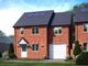 Thumbnail Detached house for sale in Primula Road, Bordon, Hampshire