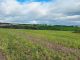 Thumbnail Land for sale in Hoarwithy, Hereford