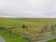 Thumbnail Land for sale in Shetland View, Land At Muness, Unst, Shetland Isles