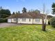 Thumbnail Detached bungalow for sale in Chestnut Close, Storrington