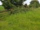 Thumbnail Land for sale in Hall Lane, Diss