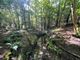 Thumbnail Land for sale in Woodland At Callums Wood, Catsfield Road, Ninfield, Battle, East Sussex