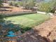 Thumbnail Country house for sale in Alhaurin El Grande, Malaga, Spain