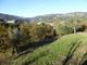 Thumbnail Farm for sale in P733, Farm Of 3, 5 Ha And A House In Cinfães, Portugal, Portugal
