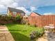 Thumbnail Semi-detached house for sale in Alford Pasture, Cranbrook, Exeter