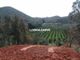Thumbnail Land for sale in Casais De Odelouca, Silves, Silves
