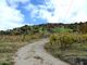 Thumbnail Farm for sale in P716, Farm Of 6Ha With 3 Houses In Portugal, Baião, Portugal