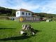 Thumbnail Farmhouse for sale in Trie-Sur-Baise, Midi-Pyrenees, 65220, France