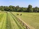 Thumbnail Equestrian property for sale in Langham Lane, Gillingham, Dorset
