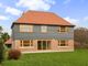 Thumbnail Detached house to rent in Maddoxford Lane, Boorley Green, Southampton