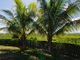 Thumbnail Villa for sale in Villa Susanna, Nonsuch Bay, Antigua And Barbuda